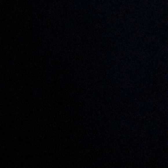 Meet your Posher, Darci - Picture 1 of 1